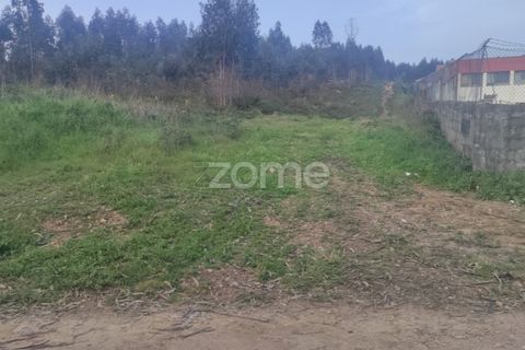 Helårsgrund i Trofa, Porto, Trofa - € 250.000 | Ref: ZMPT565769 - foto 6