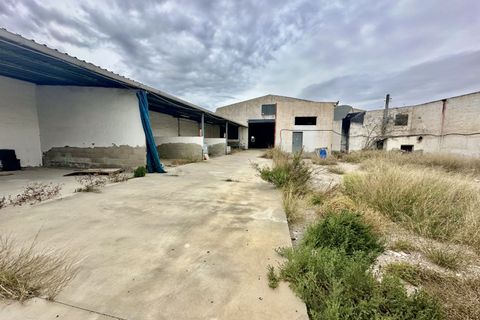 Erhvervsejendom i Catral, Alicante, Catral - € 500.000 | Ref: SP4438 - foto 17