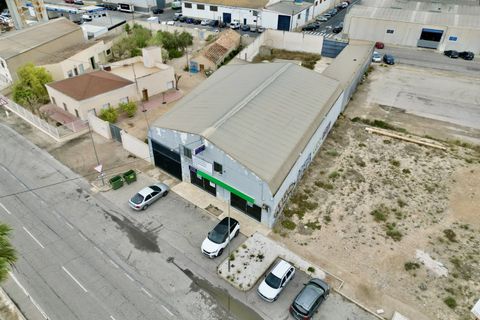 Erhvervsejendom i Catral, Alicante, Catral - € 500.000 | Ref: SP4438 - foto 19