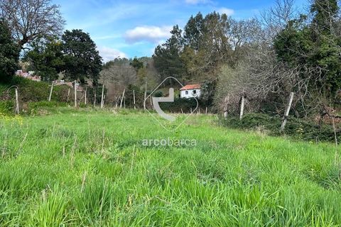 Terra a Arcos de Valdevez, Viana do Castelo, Arcos de Valdevez - € 10.000 | Ref: AV5936 - foto 2