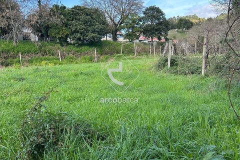 Terra a Arcos de Valdevez, Viana do Castelo, Arcos de Valdevez - € 10.000 | Ref: AV5936 - foto 4