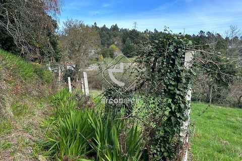 Terra a Arcos de Valdevez, Viana do Castelo, Arcos de Valdevez - € 10.000 | Ref: AV5936 - foto 5