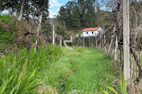 Terra a Arcos de Valdevez, Viana do Castelo, Arcos de Valdevez - € 10.000 | Ref: AV5936 - foto 6