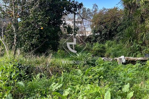 Terra a Arcos de Valdevez, Viana do Castelo, Arcos de Valdevez - € 10.000 | Ref: AV5936 - foto 7