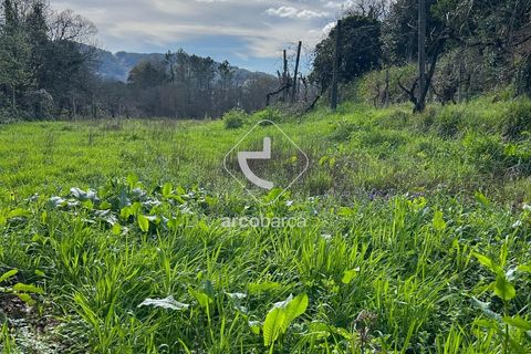 Terra a Arcos de Valdevez, Viana do Castelo, Arcos de Valdevez - € 10.000 | Ref: AV5936 - foto 8