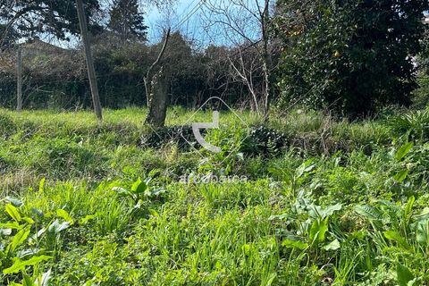 Terra a Arcos de Valdevez, Viana do Castelo, Arcos de Valdevez - € 10.000 | Ref: AV5936 - foto 9
