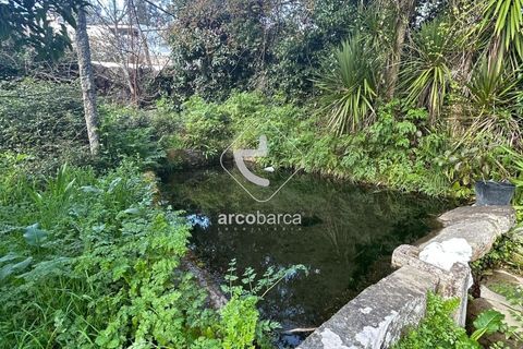Terra a Arcos de Valdevez, Viana do Castelo, Arcos de Valdevez - € 10.000 | Ref: AV5936 - foto 10