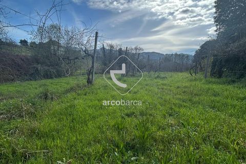 Terra a Arcos de Valdevez, Viana do Castelo, Arcos de Valdevez - € 10.000 | Ref: AV5936 - foto 11