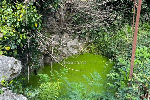 Terra a Arcos de Valdevez, Viana do Castelo, Arcos de Valdevez - € 10.000 | Ref: AV5936 - foto 13