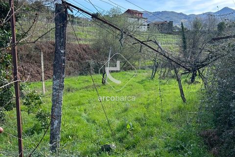 Terra a Arcos de Valdevez, Viana do Castelo, Arcos de Valdevez - € 10.000 | Ref: AV5936 - foto 14