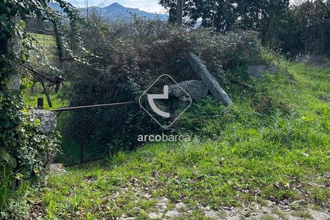Terra a Arcos de Valdevez, Viana do Castelo, Arcos de Valdevez - € 10.000 | Ref: AV5936 - foto 16