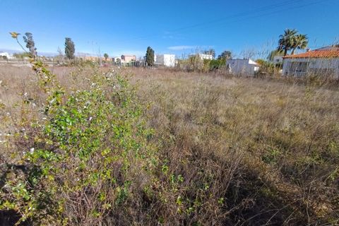 Helårsgrund i Oliva, Valencia, Oliva - € 90.000 | Ref: OCPL011 - foto 8