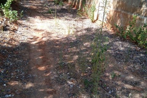 Helårsgrund i Oliva, Valencia, Oliva - € 90.000 | Ref: OCPL011 - foto 4