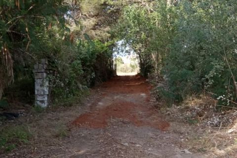 Helårsgrund i Oliva, Valencia, Oliva - € 90.000 | Ref: OCPL011 - foto 10