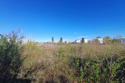 Helårsgrund i Oliva, Valencia, Oliva - € 90.000 | Ref: OCPL011 - foto 13