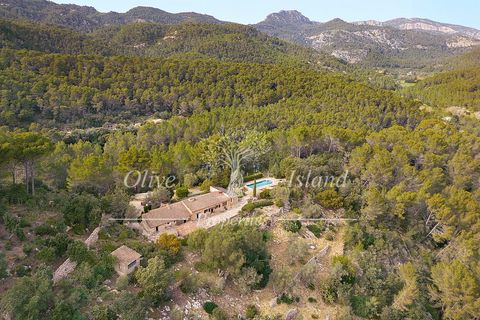 Villa a Puigpunyent, Mallorca, Puigpunyent - € 2.200.000 | Ref: PUIG472A - foto 23