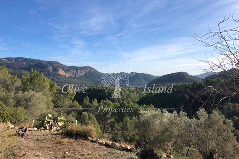 Villa a Puigpunyent, Mallorca, Puigpunyent - € 2.200.000 | Ref: PUIG472A - foto 24