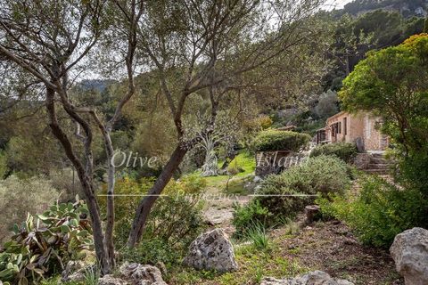 Villa a Puigpunyent, Mallorca, Puigpunyent - € 2.200.000 | Ref: PUIG472A - foto 33