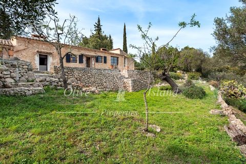 Villa a Puigpunyent, Mallorca, Puigpunyent - € 2.200.000 | Ref: PUIG472A - foto 35
