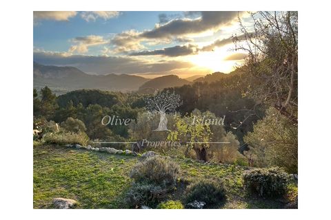 Villa a Puigpunyent, Mallorca, Puigpunyent - € 2.200.000 | Ref: PUIG472A - foto 36