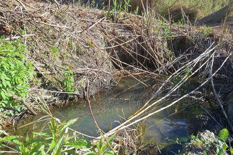 Villa a Morlupo, Rome, Morlupo - € 90.000 | Ref: 1617 - foto 4