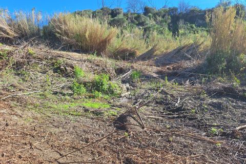 Villa a Morlupo, Rome, Morlupo - € 90.000 | Ref: 1617 - foto 5