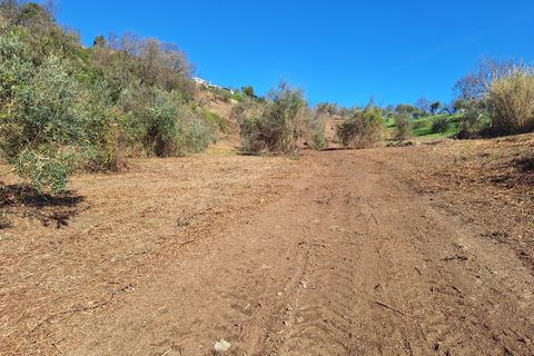 Villa a Morlupo, Rome, Morlupo - € 90.000 | Ref: 1617 - foto 6