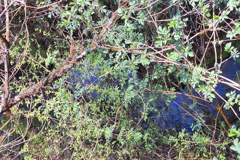 Villa a Morlupo, Rome, Morlupo - € 90.000 | Ref: 1617 - foto 8