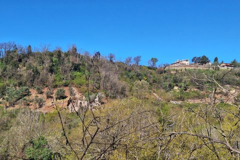 Villa a Morlupo, Rome, Morlupo - € 90.000 | Ref: 1617 - foto 10