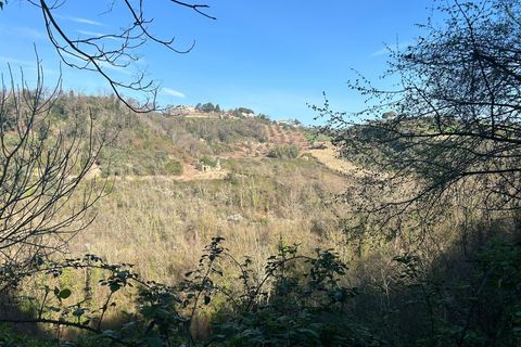 Villa a Morlupo, Rome, Morlupo - € 90.000 | Ref: 1617 - foto 14