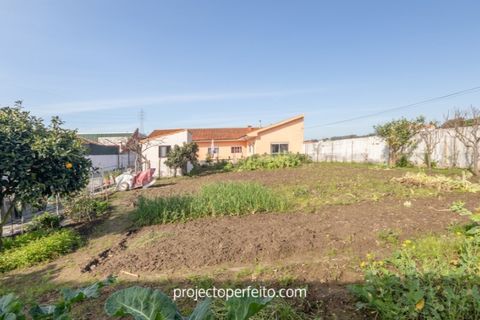Villa a Silvalde, Aveiro, Silvalde - € 495.000 | Ref: 3579 - foto 13