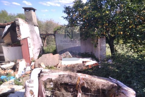 Villa a Mouriscas, Santarem, Mouriscas - € 55.000 | Ref: ID 01001101-82 - foto 3