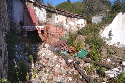 Villa a Mouriscas, Santarem, Mouriscas - € 55.000 | Ref: ID 01001101-82 - foto 5