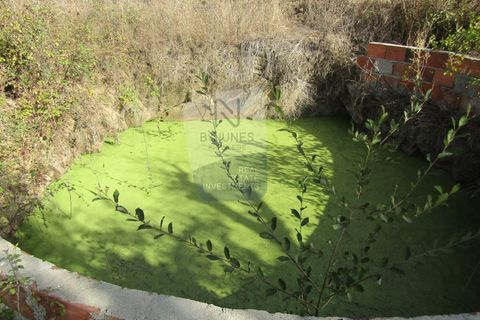 Villa a Mouriscas, Santarem, Mouriscas - € 55.000 | Ref: ID 01001101-82 - foto 6