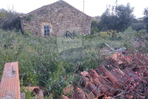 Villa a Mouriscas, Santarem, Mouriscas - € 55.000 | Ref: ID 01001101-82 - foto 7