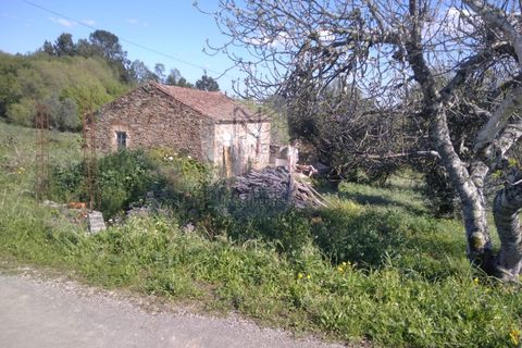 Villa a Mouriscas, Santarem, Mouriscas - € 55.000 | Ref: ID 01001101-82 - foto 9