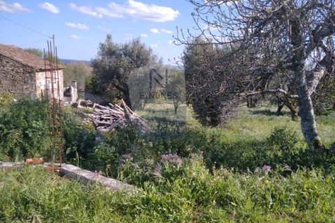 Villa a Mouriscas, Santarem, Mouriscas - € 55.000 | Ref: ID 01001101-82 - foto 10
