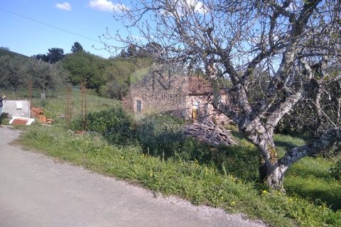 Villa a Mouriscas, Santarem, Mouriscas - € 55.000 | Ref: ID 01001101-82 - foto 11
