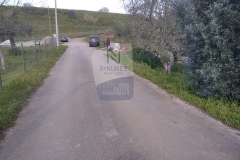 Villa a Mouriscas, Santarem, Mouriscas - € 55.000 | Ref: ID 01001101-82 - foto 13