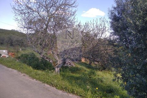 Villa a Mouriscas, Santarem, Mouriscas - € 55.000 | Ref: ID 01001101-82 - foto 14