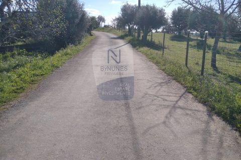 Villa a Mouriscas, Santarem, Mouriscas - € 55.000 | Ref: ID 01001101-82 - foto 16