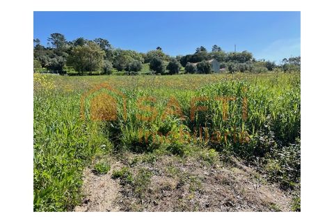 Helårsgrund i Tomar, Santarem, Tomar - € 37.000 | Ref: SAFTI:004910 - foto 1