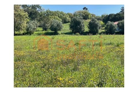 Helårsgrund i Tomar, Santarem, Tomar - € 37.000 | Ref: SAFTI:004910 - foto 2