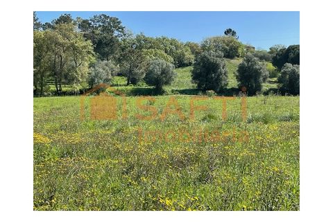 Helårsgrund i Tomar, Santarem, Tomar - € 37.000 | Ref: SAFTI:004910 - foto 6