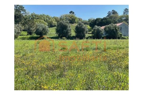 Helårsgrund i Tomar, Santarem, Tomar - € 37.000 | Ref: SAFTI:004910 - foto 7