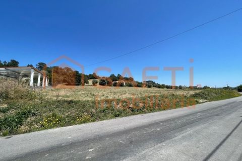 Helårsgrund i Tomar, Santarem, Tomar - € 37.000 | Ref: SAFTI:004910 - foto 16