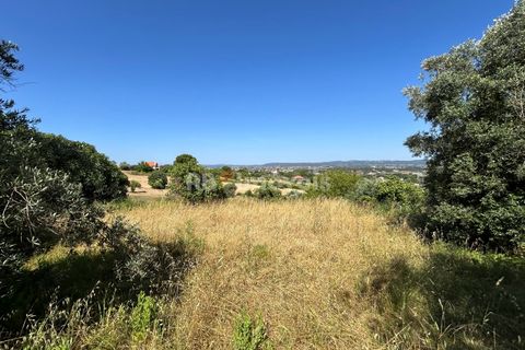 Helårsgrund i Tomar, Santarem, Tomar - € 79.500 | Ref: 01171-24 - foto 2