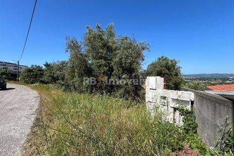 Helårsgrund i Tomar, Santarem, Tomar - € 79.500 | Ref: 01171-24 - foto 16