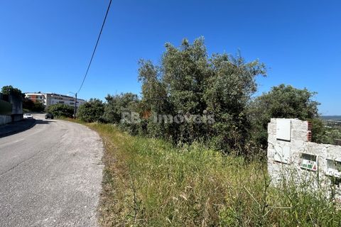 Helårsgrund i Tomar, Santarem, Tomar - € 79.500 | Ref: 01171-24 - foto 18