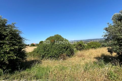 Helårsgrund i Tomar, Santarem, Tomar - € 79.500 | Ref: 01171-24 - foto 19